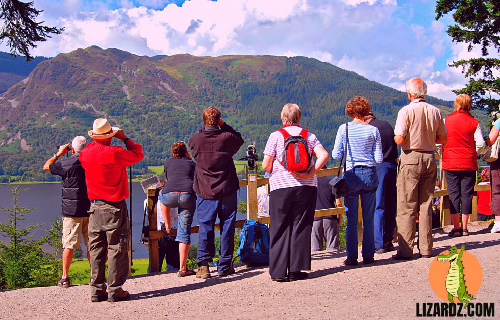 Best Birdwatching Tours in the World Lizardz